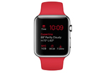 Apple Watch 42 мм, спортивный ремешок 140-210 мм (PRODUCT)RED